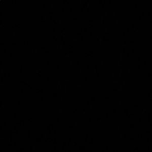 Meet your Posher, Alexia